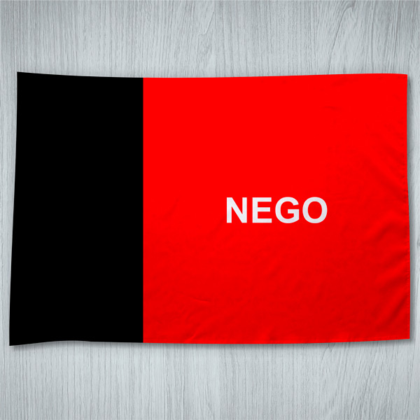 Bandeira Paraíba ou personalizada 70x100cm com sua foto