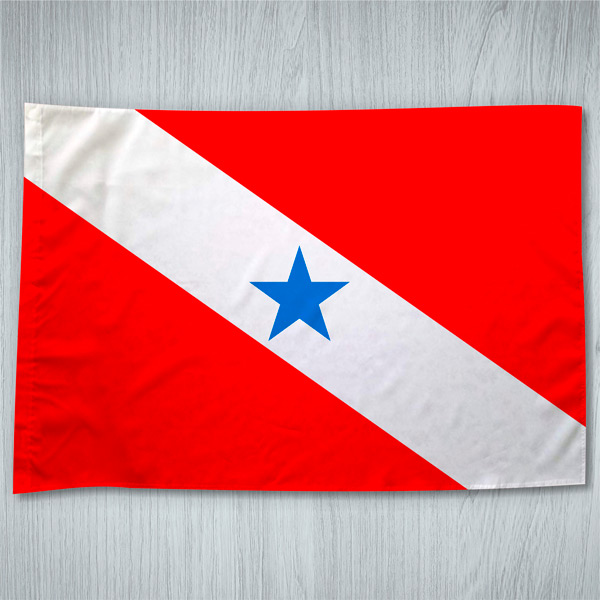Bandeira Pará ou personalizada com sua imagem