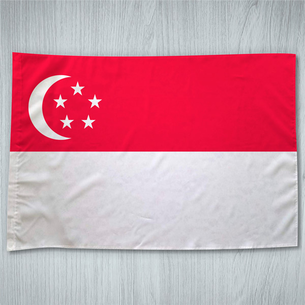 Bandeira Singapura ou personalizada 70x100cm comprar