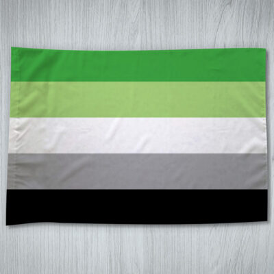 Bandeira Arromântica LGBTQIA+ 70x100cm comprar em Portugal